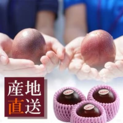 ãæééå®ããèš³ããããããã«ã«ããã·ã§ã³ãã«ãŒãçŽ1.5Kg A3-393ãé
éäžå¯å°åïŒé¢å³¶ãã1746162ã