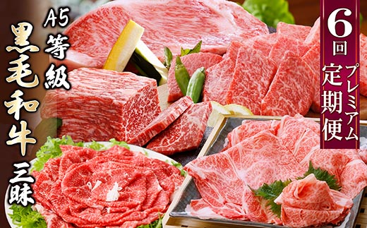 定期便(6回配送)A5等級鹿児島県産黒毛和牛三昧 II-0016【配送不可地域：離島】【1166763】