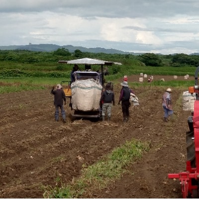 譛ャ譬シ闃狗┥驟弱先取イサ縺ョ豁」荳ュ(縺励g縺縺。繧縺)縲大セゥ蛻サ迚 縺ゥ繧薙カ繧贋サ戊セシ縺ソ 720mlテ1譛ャ A2-28縲宣埼∽ク榊庄蝨ー蝓滂シ夐屬蟲カ縲代1717764縲