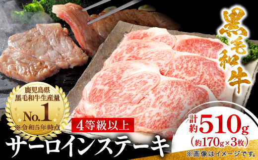 【鹿児島県産】黒毛和牛 サーロインステーキ 約510g (約170g×3枚)(枕崎市) B3-89【配送不可地域：離島】【1616196】