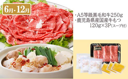 定期便(6回配送)　枕崎お楽しみ定期便(黒毛和牛・黒豚・加工品etc) FF-6003【配送不可地域：離島】【1487879】