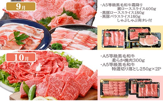 定期便(12回配送)枕崎お楽しみ便(A5等級黒毛和牛・黒豚・黒豚加工品・さつまあげ等)JJ-6003【配送不可地域：離島】【1166754】