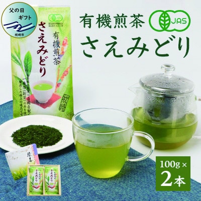 【父の日】1番茶のみを使用 有機煎茶【さえみどり】KAORU園 (100g×2本) MM-129F【1499916】