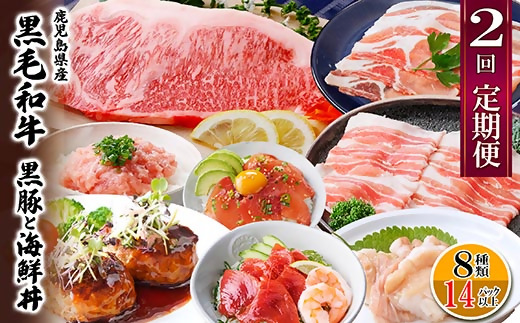定期便2回配送　鹿児島県産黒毛和牛・黒豚　CC0-0001【配送不可地域：離島】【1542064】