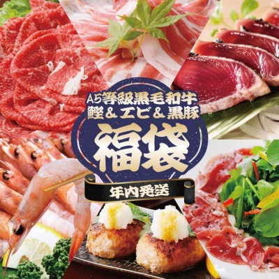 【年内発送】福袋 A5ランク黒毛和牛・タカエビ(薩摩甘エビ)・黒豚・カツオ 贅沢詰合わせ B8-24【配送不可地域：離島】【1580561】