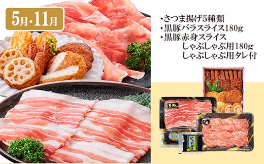 定期便6回配送　よりどりバラエティーセット　GG5-0004【配送不可地域：離島】【1573860】