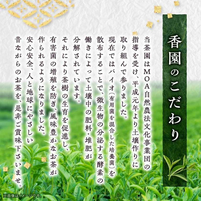 ãã®ãä»ãã»ãæ³æ®ãäžçªè¶ã®ã¿äœ¿çš!ææ©æ œå¹ç·è¶ è©æ©ä¹è«é¢šã100gÃ3è¢ã A3-272Sãé
éäžå¯å°åïŒé¢å³¶ãã1465871ã