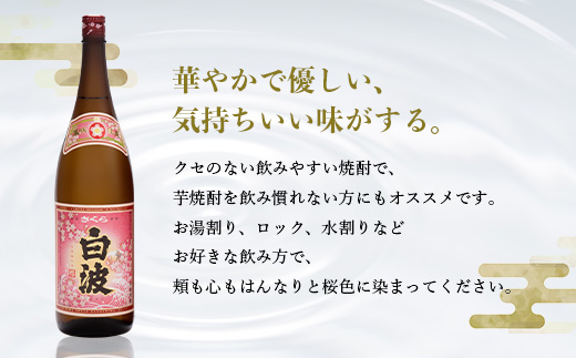 【敬老の日・のし付き】本場鹿児島の芋焼酎 さくら白波900ml入り3本セット A6-127S【1460354】