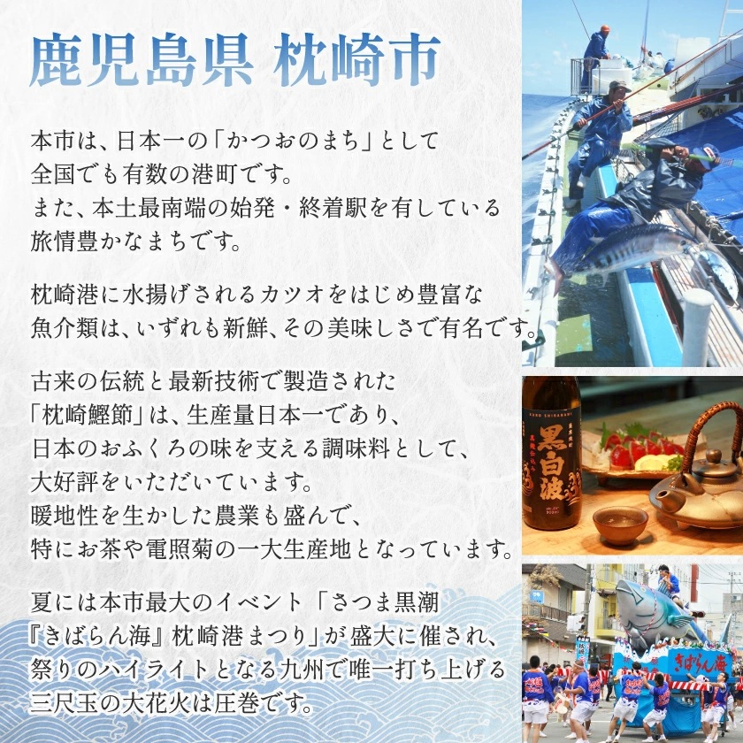 黒毛和牛 赤身ももスライス 600g(枕崎市) A3-371【配送不可地域：離島】【1616206】