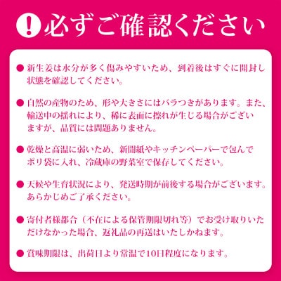 【先行受付】枕崎産 新生姜 約3kg(国産・農家直送)【2026年9月上旬より順次発送】 A3-38【配送不可地域：離島】【1739865】
