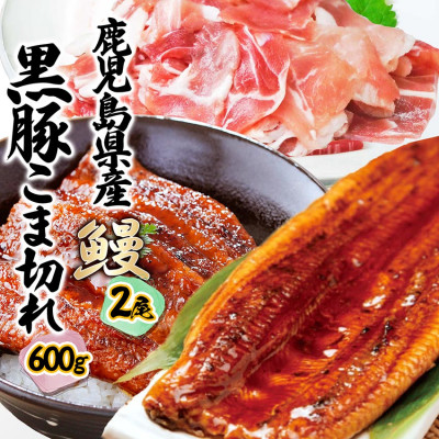 鹿児島W名物!鰻360g(2尾)×黒豚小間切れ600g(120g×5P)　人気セット　B3-110【配送不可地域：離島】【1645668】