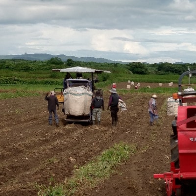 縲先悽譬シ辟シ驟弱大漉荵区婿縲1800ml繝代ャ繧ッテ6繝代ャ繧ッ D5-1縲宣埼∽ク榊庄蝨ー蝓滂シ夐屬蟲カ縲代1720397縲