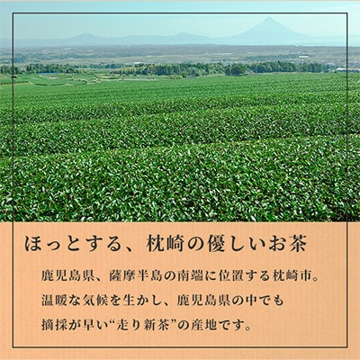 【のし付き・お歳暮】一番茶のみ使用　ほっこり煎茶 100g×3袋 A5-1S【1551762】