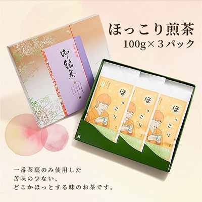 【のし付き・お歳暮】一番茶のみ使用　ほっこり煎茶 100g×3袋 A5-1S【1551762】