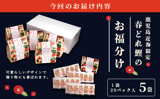 鹿児島近海一本釣り 春どれ鰹の薄削り節 【お福分け】20g(1g×20パック)×5袋 A3−318【1167000】