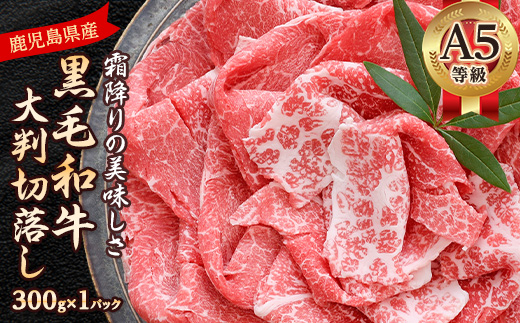 A5等級鹿児島県産黒毛和牛大判切落し(枕崎市) A0-78【配送不可地域：離島】【1650517】