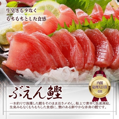 枕崎ぶえん鰹　(活き〆かつお)血合い抜き刺身 1kg A3-143【配送不可地域：離島】【1166321】