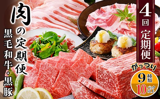 定期便4回配送　肉の定期便 EE-6016【配送不可地域：離島】【1491491】