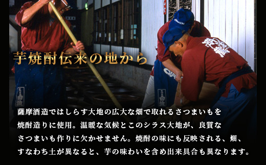 【焼酎屋の梅酒】「蔵うめ」14度 720ml  2本【黒糖仕込み】 A3−168【1166672】