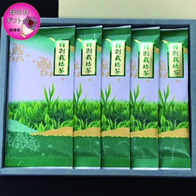 【母の日】特別栽培茶 (深蒸し茶) 5袋 セット 化粧箱入り CC-172M【1495358】
