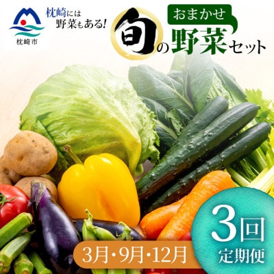 【発送月固定定期便】枕崎の野菜!!定番・旬の野菜お任せセット(3・9・12月)DD0−0009全3回【配送不可地域：離島】【4057594】