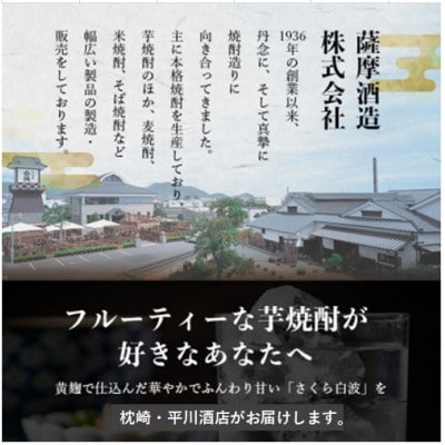 【毎月定期便】薩摩酒造の定番の焼酎【さくら白波】1800ml×2本セット! DD0-0023 全3回【配送不可地域：離島】【4070891】