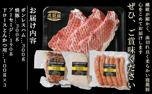 鹿籠豚 とんかつ用ロース・ソーセージ・ハム・焼豚【合計1.0kg】 B3−5【配送不可地域：離島】【1166986】