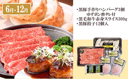 定期便6回配送　よりどりバラエティーセット　GG5-0004【配送不可地域：離島】【1573860】