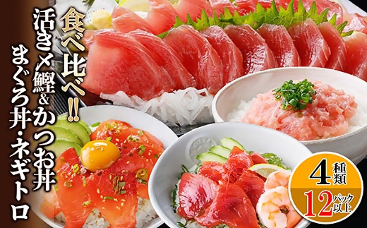 枕崎ぶえん鰹800g & 漬け丼3種9袋(かつお・まぐろ・ネギトロ) A6-140【配送不可地域：離島】【1166317】