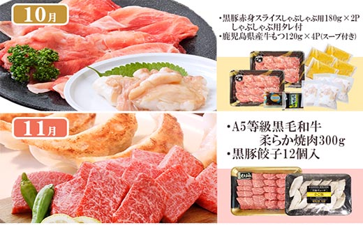 定期便(1年で10回配送)お楽しみ便(A5等級黒毛和牛・黒豚)HH-6004【配送不可地域：離島】【1166752】