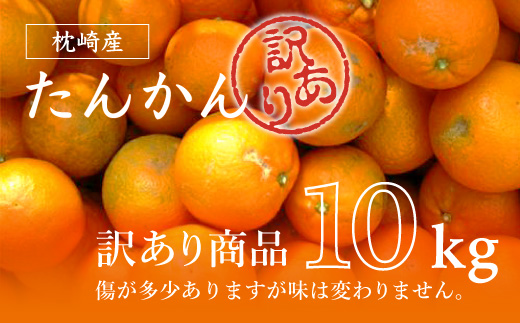 【訳あり】南国特産もぎたてフルーツ たんかん10kg【先行受付】2月下旬より順次発送 A6−13【1466329】