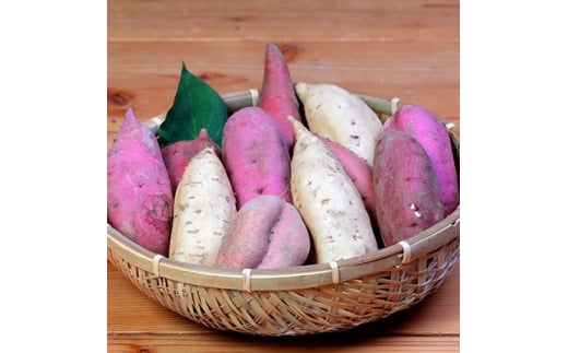 鹿å
å³¶ãã€ãŸãã 5åçš® é£ã¹æ¯ã¹ 6kg ã2025幎10æäžæ¬ããçºéA3-54ãé
éäžå¯å°åïŒé¢å³¶ãã1167097ã