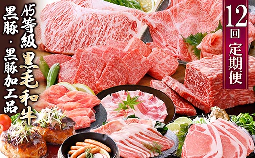お肉の定期便(12回)枕崎お楽しみ便(A5等級黒毛和牛・黒豚・黒豚加工品etc) KK-6003【配送不可地域：離島】【1166746】