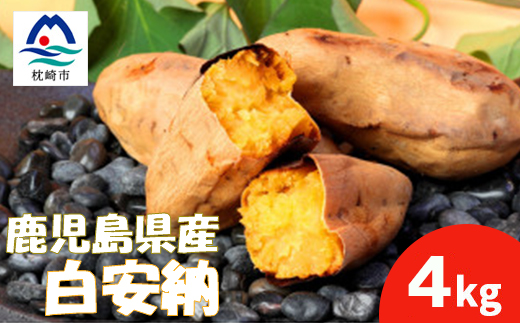 本場鹿児島さつまいも 【白安納】4kg　2025年10月上旬より発Z0-14【配送不可地域：離島】【1487870】