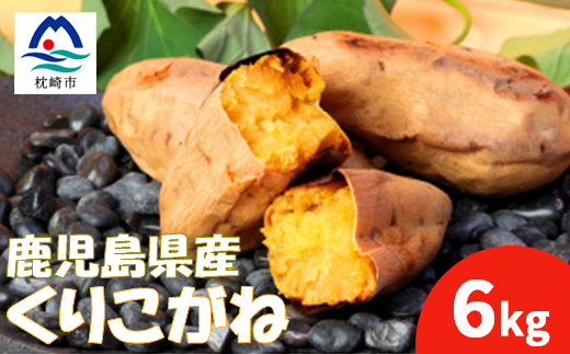 本場鹿児島さつまいも【くりこがね】6kg　2025年10月上旬より発送A3-57【配送不可地域：離島】【1487774】