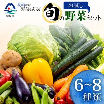 枕崎には野菜もある!!定番・旬のお試し野菜セット　A0−38【配送不可地域：離島】【1535821】