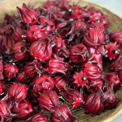 èŽ
æ²¢æå®ã®ãžã£ã ã»ãããããŒãŒã«ã»ãã¡ããã»ãã³ãŽãŒããã·ã§ã³ãã«ãŒãã A3-388ã1706735ã