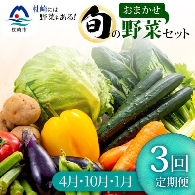 【発送月固定定期便】枕崎の野菜!!定番・旬の野菜お任せセット(4・10・1月)DD0−0007全3回【配送不可地域：離島】【4057601】