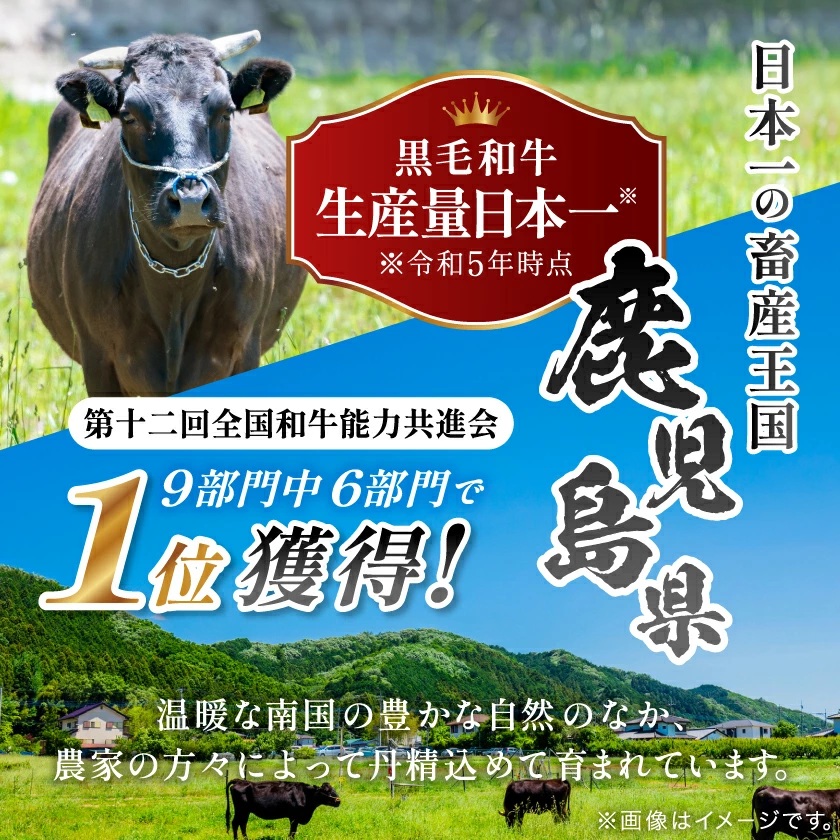 黒毛和牛 赤身ももスライス 600g(枕崎市) A3-371【配送不可地域：離島】【1616206】