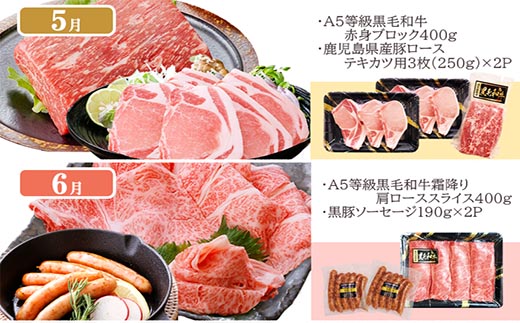 定期便(12回配送)枕崎お楽しみ便(A5等級黒毛和牛・黒豚・黒豚加工品・さつまあげ等)JJ-6003【配送不可地域：離島】【1166754】