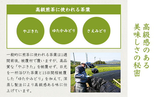 ãè¶ã®èèâåç³åâãé«çŽæ·±èžãè¶ã»ããã ã®ãã A3-97ãé
éäžå¯å°åïŒé¢å³¶ãã1166624ã