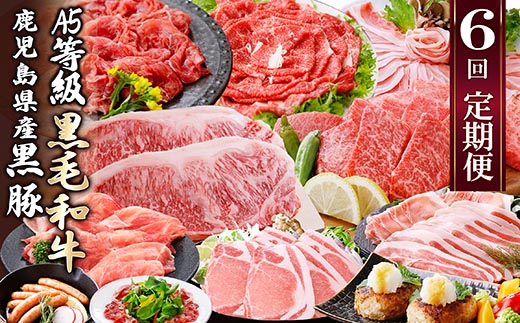 定期便(6回)A5・A4等級黒毛和牛・黒豚etc FF-0061【配送不可地域：離島】【1166779】