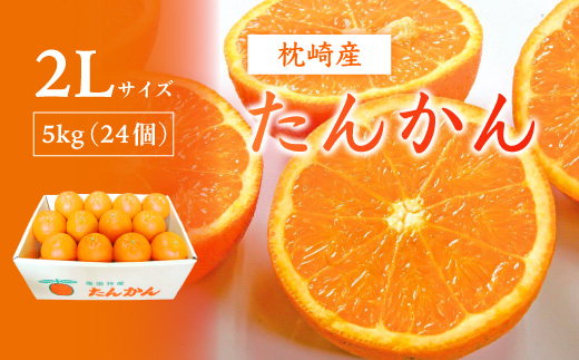 【2Lサイズ 】南国特産もぎたて たんかん 5kg【先行受付】2月下旬より順次発送 A8-122【配送不可地域：離島】【1466325】