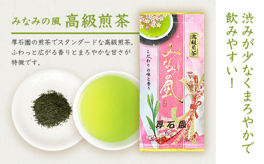 水出し煎茶ティーバッグ 高級深蒸し茶 ギフト A3-99【配送不可地域：離島】【1166618】