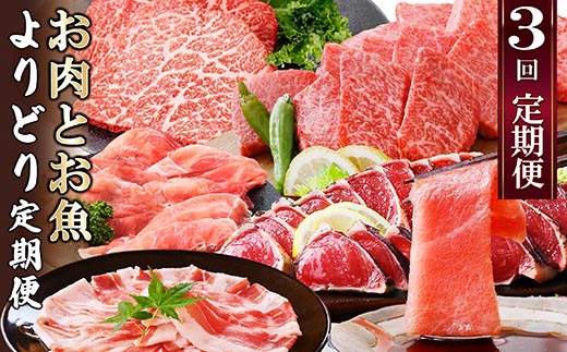 定期便3回配送　お肉とお魚よりどり定期便 LL-6016【配送不可地域：離島】【1498567】