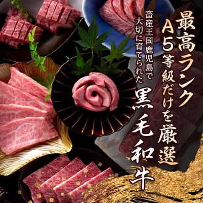 A5等級鹿児島県産黒毛和牛大判切落し(枕崎市) A0-78【配送不可地域：離島】【1650517】