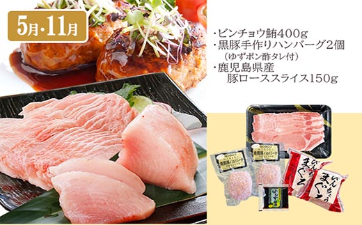 定期便6回配送 【当店限定】ごちそうまんきつセット FF-6004【配送不可地域：離島】【1492208】