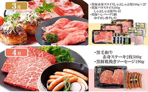 定期便(1年で10回配送)お楽しみ便(A5等級黒毛和牛・黒豚)HH-6004【配送不可地域：離島】【1166752】