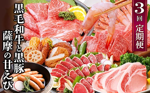定期便(3回配送)黒毛和牛・黒豚&薩摩の甘エビ　DD5-0002【配送不可地域：離島】【1573827】