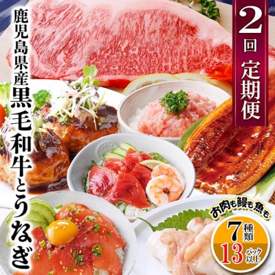 定期便2回配送　鹿児島県産黒毛和牛・うなぎ　CC0−0001【配送不可地域：離島】【1542064】